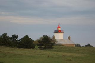 Maison de pêcheur à 1,5km de la mer - Blainville-sur-Mer - 7
