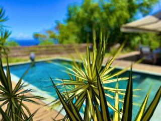 Villa contemporaine St-Leu - Saint-Leu - 2