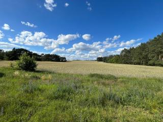 TOP-Ferienwohnung bei Berlin, bis 3 Gäste, Terrasse und Garten - 8