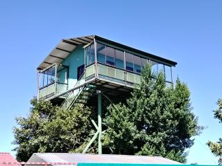 Casa árbol - Aguas Zarcas - 5