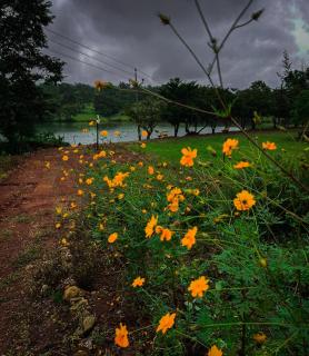 Chalobahills Farmstay Resort - Ajra - 9