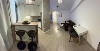 Gama Apartment - Timişoara - 7