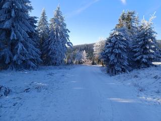 FeWo Oberhof - Tiefgarage und Parkplatz inklusive - Oberhof - 7