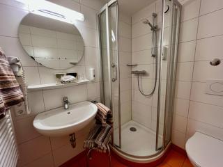 Goldener Hahn B&B Baiersbronn - Ferienwohnungen mit Hotel Service nahe Gartenschau Tal X - Baiersbronn - 1