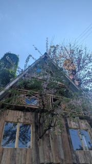 Mochileros Cherry Tree House - Pelling - 8