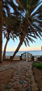 Minimalistic Egyptian-Style 1-Bedroom Beachfront apartment with Private Beach Access in Dahab - Dahab - 0
