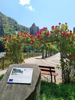 Wohnung mit Blick auf den Rheingrafenstein - Bad Kreuznach - 1