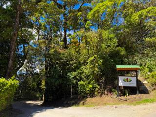 Hotel Flor de Bromelia - Monteverde - 8