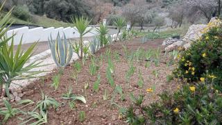 Finca Las Minas - Studio - 2