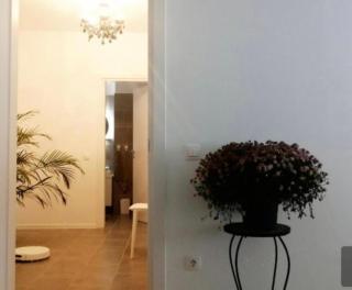 Atria Urban Resort - Bucarest - 9