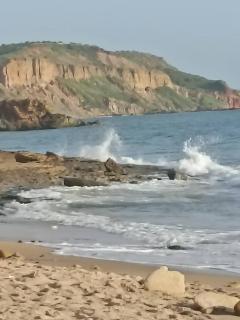 Gite de la savane - 2