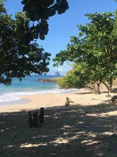 Air-conditioned bungalow with stunning sea view - Sainte-Luce - 9