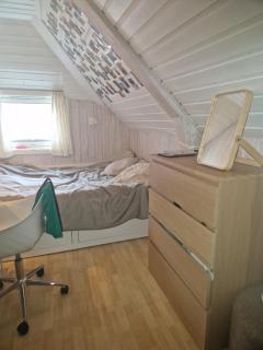 Sentrumsnær stor leilighet - 1