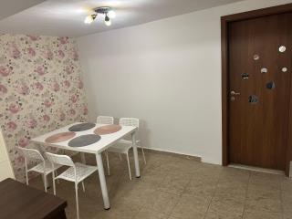 Under the fig tree Apartment - Timişoara - 9