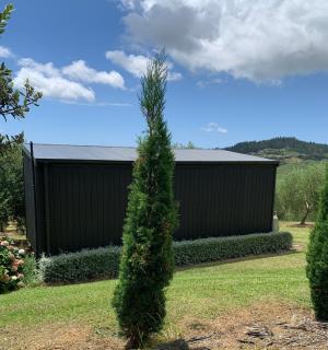 Stunning Coastal Olive Grove - Mangonui - 5