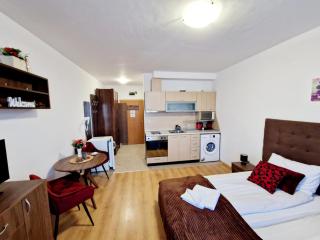 Studio Maria - Bansko - 6