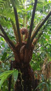 Cottage in Penedo! - Itatiaia - 2