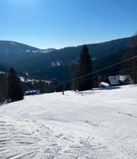 Wellness chata Labská - 3