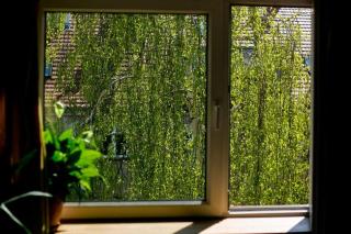 LEVELOFT - przestronny, stylowy apartament na zielonej ulicy w centrum - Breslavia - 5