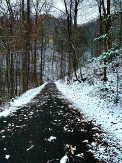 Little Pine Lodge a Smokies Hideaway - 1 mi to GSMNP - King Suite & Loft, Fireplace, Hot Tub & BEARS! - 2