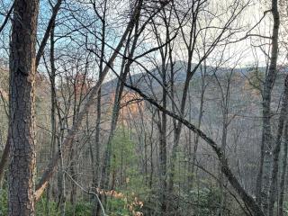 Autumn Retreat - 1 mi to GSMNP - Bears, Pool, Hot Tub, King Suite & Loft - 9