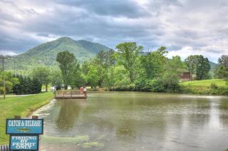 Bear Watch Cabin - 1 mi to GSMNP - Hot Tub, Pool Table, King Suite & Loft - Sevierville - 7