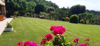 IVO house - Vezza - 1