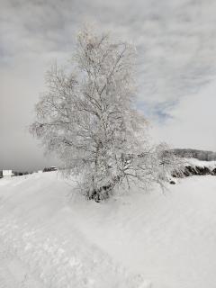 Holiday Home Mrljes - Rast - 7