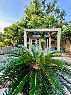 Green Canopy Mini Villa - - 3
