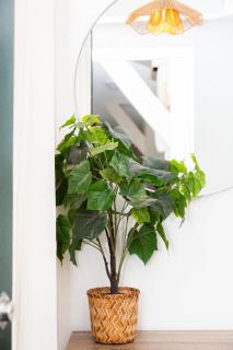 Studio Stade de France 2 pour 2 personnes - 1