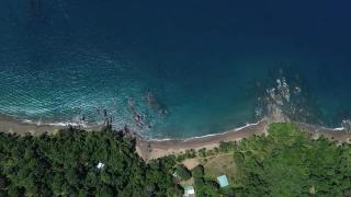 Cabins yafeth osa drake bay - Drake - 0