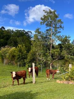 Luxury Farm Homestead & Animal Sanctuary, Hot Tub - The Pocket - 2