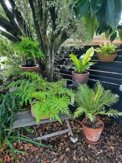 Villa One on Fitzherbert - Palmerston North - 6