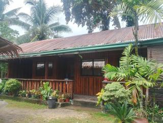 Naramalan Inn - San Vicente - 0