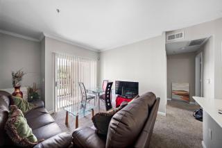 Peaceful Apartment - Houston - 1