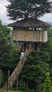 Palkulam heights - Kūmudi - 7