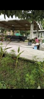 PNAF Farm - Pililla - 8