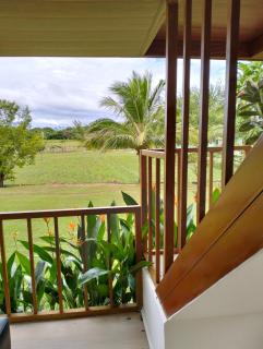 PNAF Farm - Pililla - 7