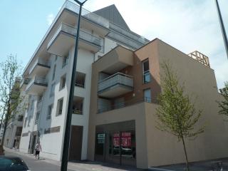 Centre-ville Annecy, 2 ch, animaux admis, parking privé - FR-1-432-91 - Annecy - 3