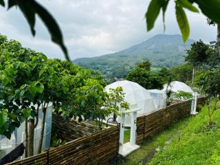 De'Ra Hills Camp Kintamani - 3