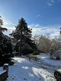 House of birds - Conie-Molitard - 5