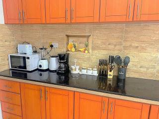 Lavish Homely Apt 5 - Kisumu - 8