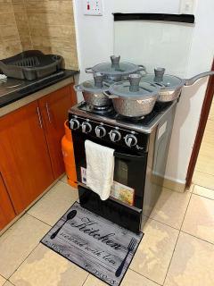 Lavish Homely Apt 5 - Kisumu - 5