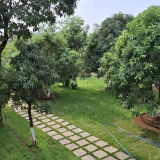 Green Hills - - 7