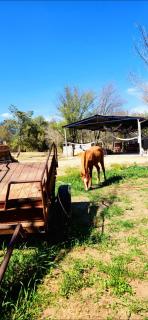 Quinta el cocula cabañas y camping - 8