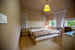 Ambient Hotel - 1