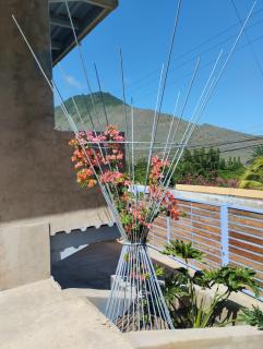 Altos de Guarame - Flandes - 1