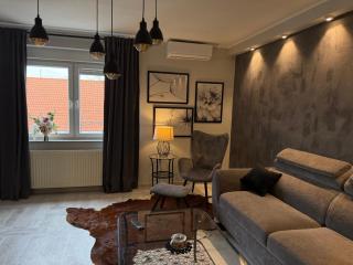 Apartman Pannonica Pin 0-24h - Slavonski Brod - 1