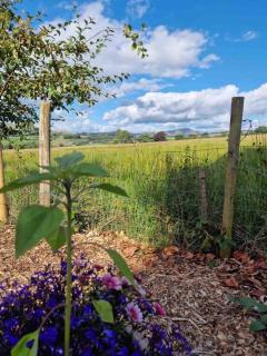 The Studio at Pinethwaite - Kendal - 8