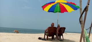 ART Marari Beach house - Mararikulam - 6
